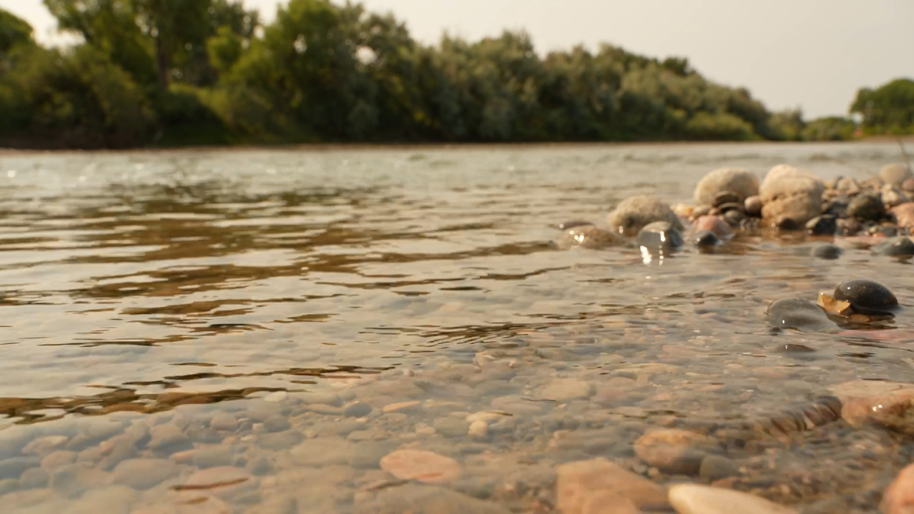 Fromberg River Project