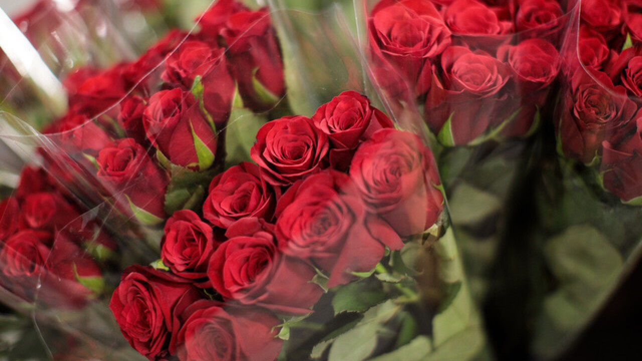 Comparing the cost of a dozen red roses for Valentine’s Day
