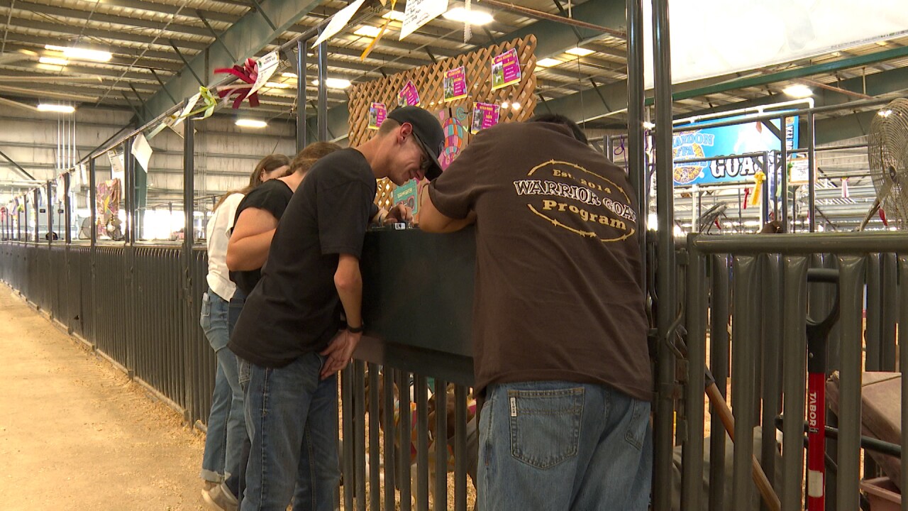 Warrior Goat program at Mid-State Fair