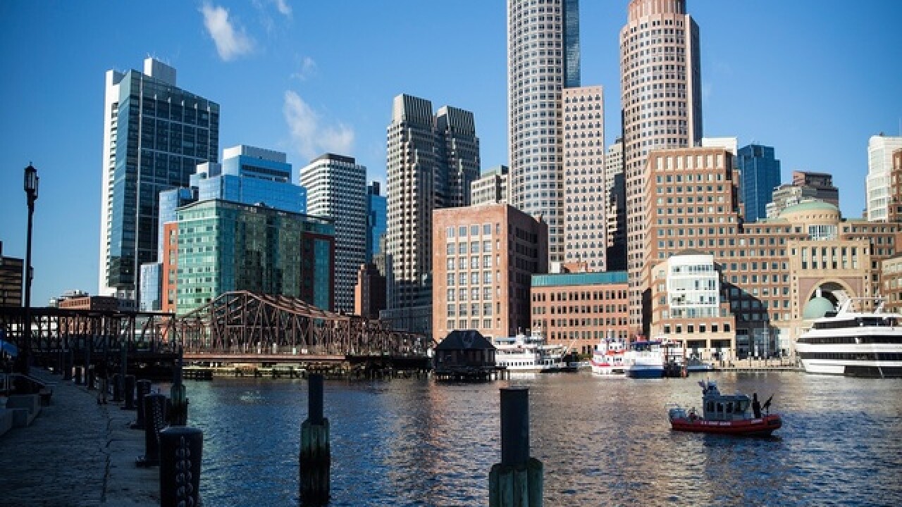 Moose seen strolling down Boston streets