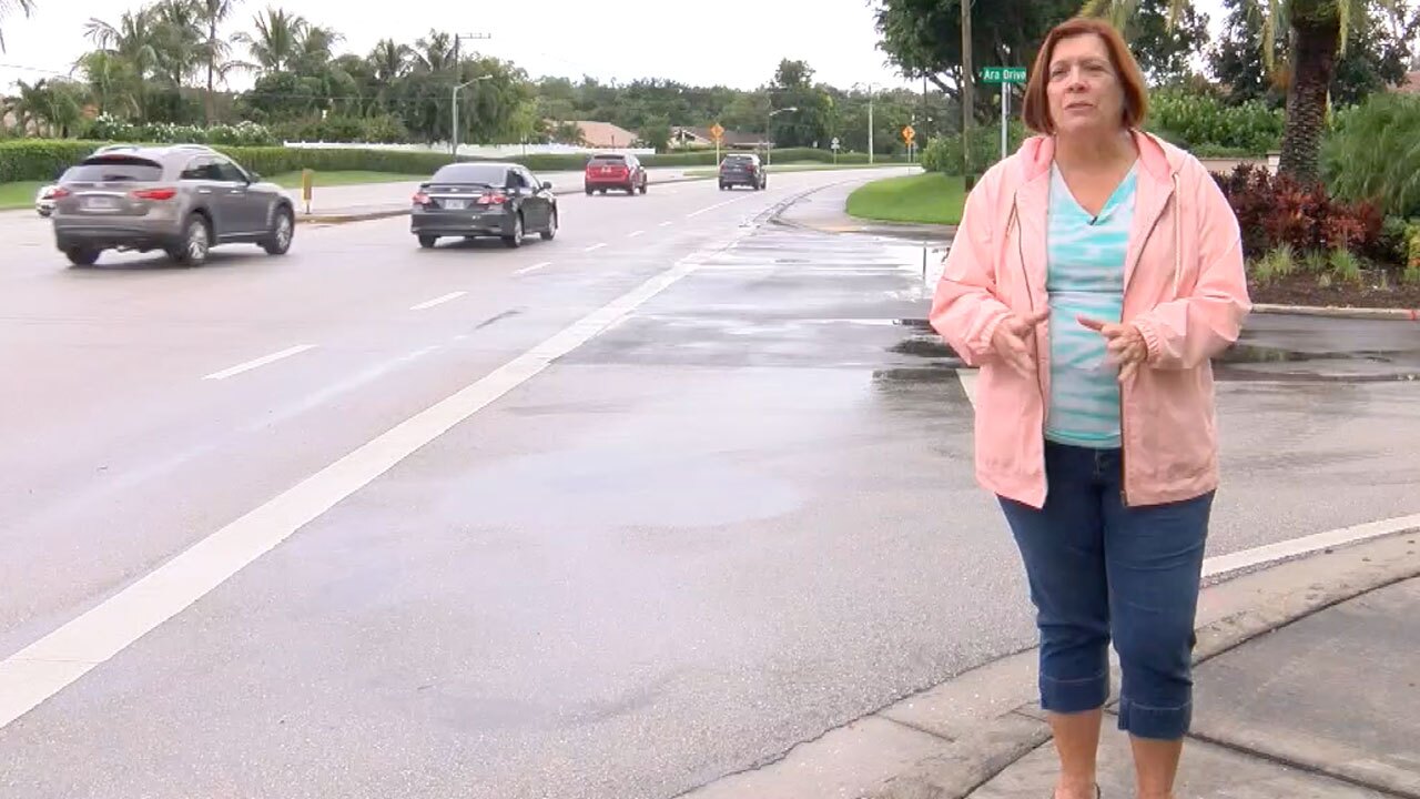 Jeanette Kamciyan, son died in motorcycle crash near Lyons Road and Escondido Way intersection