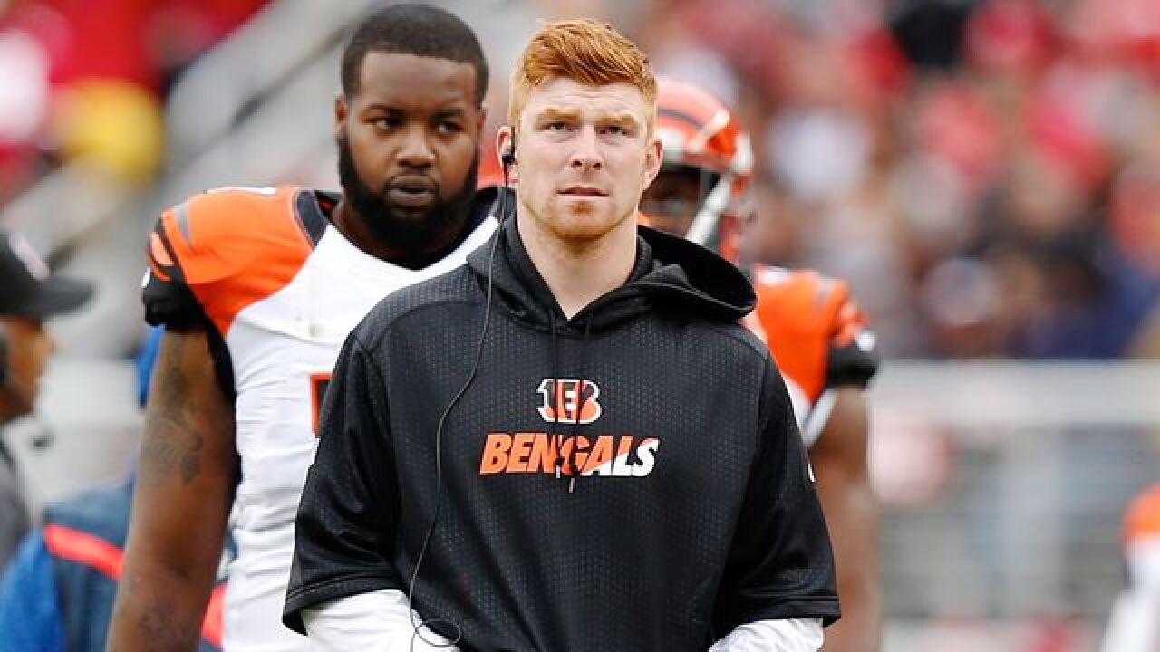 Cincinnati Bengals Go Back To Andy Dalton As Starting Qb
