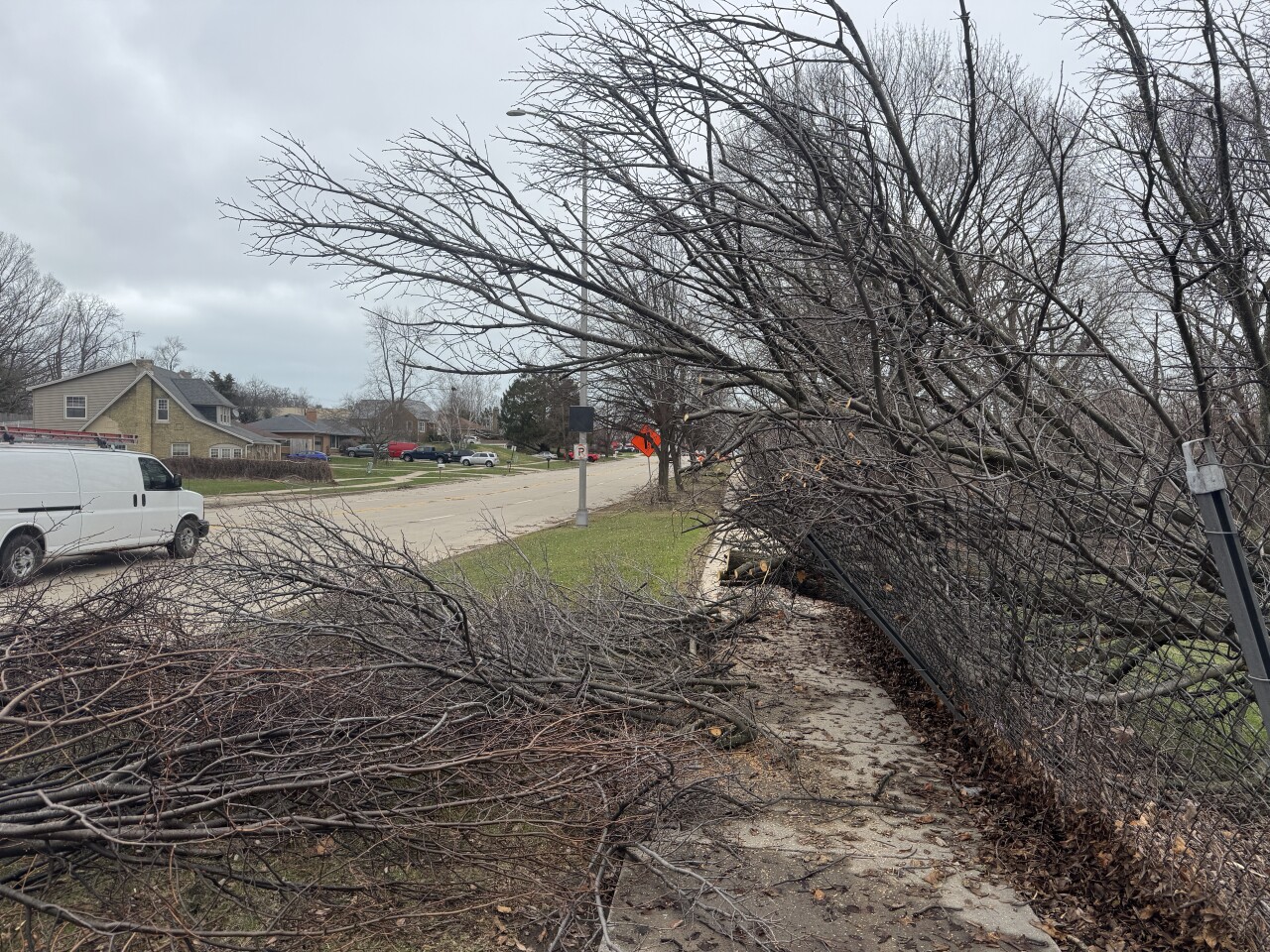 Trees down on Washington Road