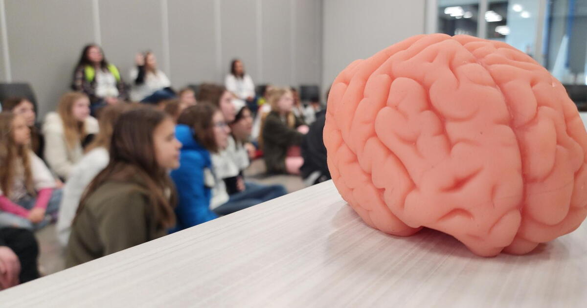 Brain Prioritization Students learn how to prioritize their brain health