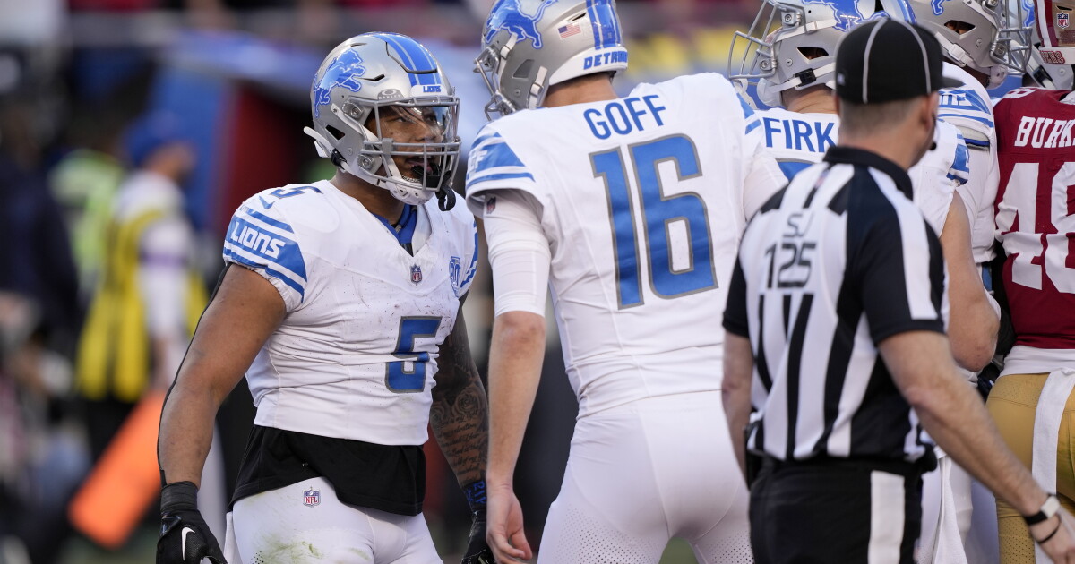 Grieving the Lions' loss? You're not alone - Vimarsana News