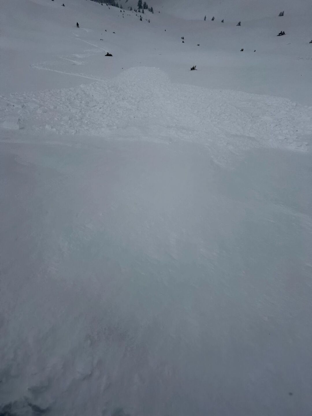 First skier-triggered avalanche of the 2024-2025 season Silverton