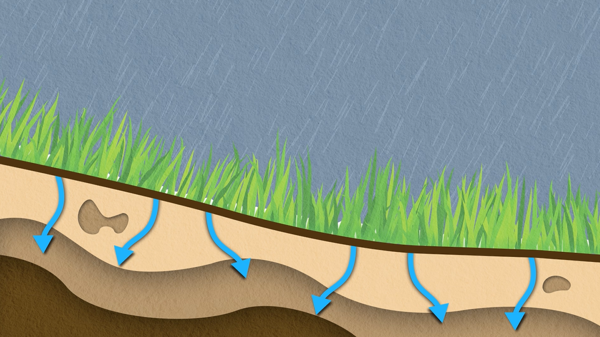 Normal, drought free conditions