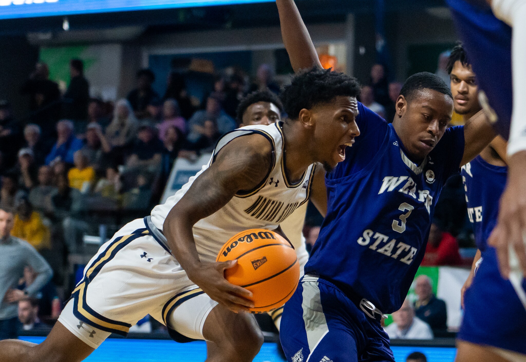 Photos: Montana State advances to Big Sky championship game