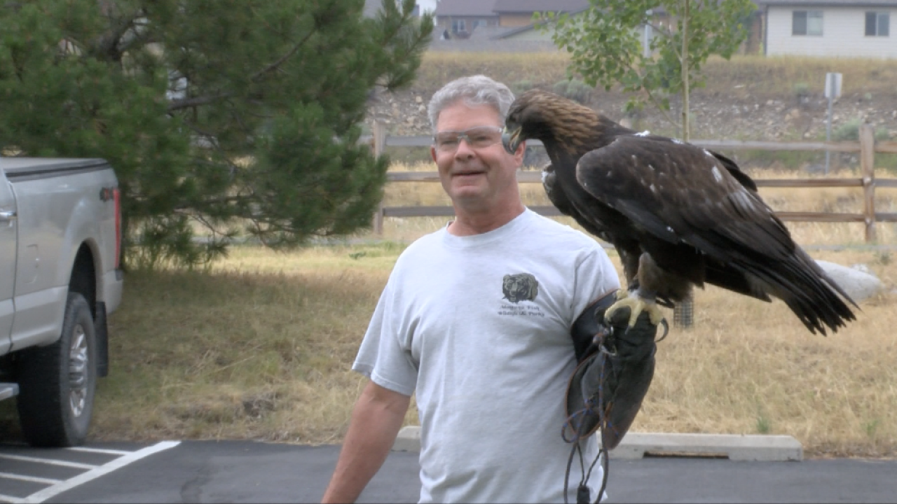 For the Birds: FWP'S Wildlife Rehabilitation Center is helping raptors get back to the wild