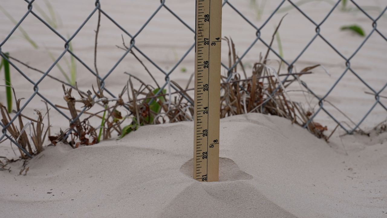 yard stick showing nearly 2 feet of sand.png