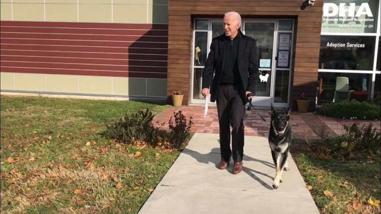 Biden adopts German shepherd named Major