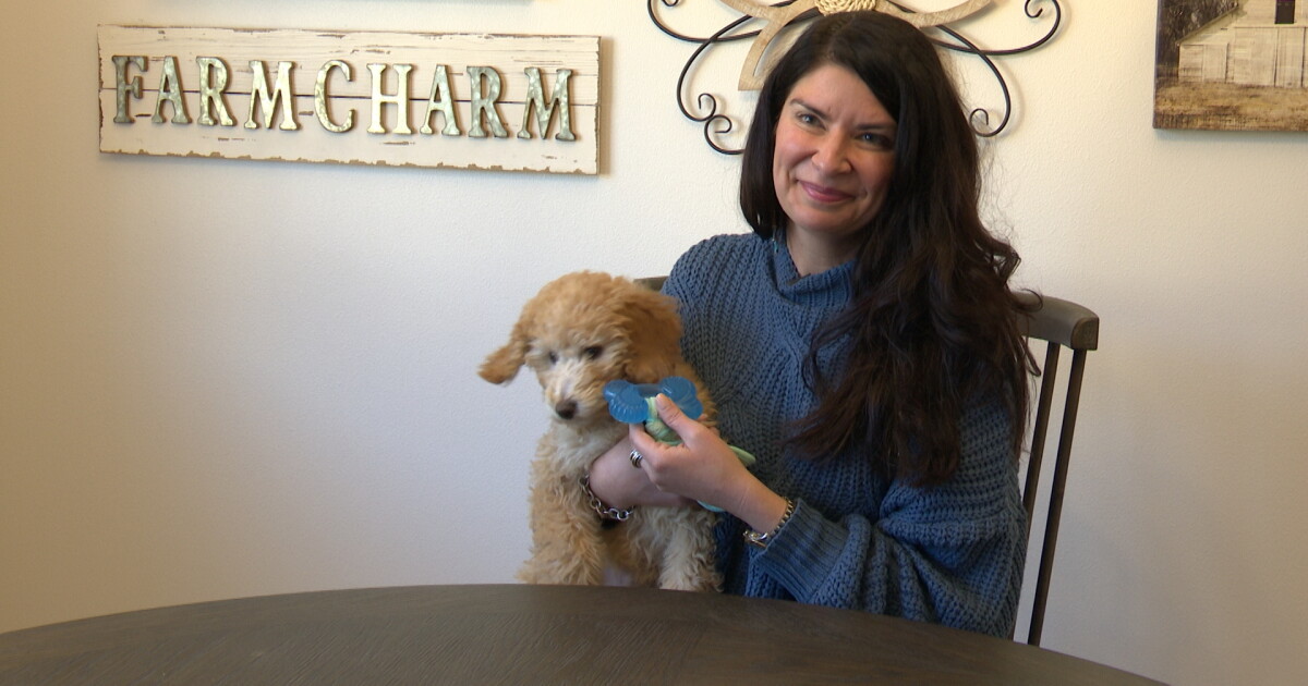 Treatment for the highly contagious canine parvovirus available in Montana - Vimarsana News