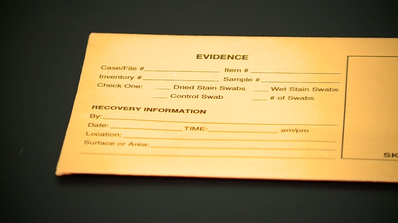 VUE FORENSICS SS.png