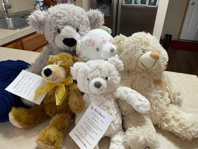 pail mira bears.jpg
