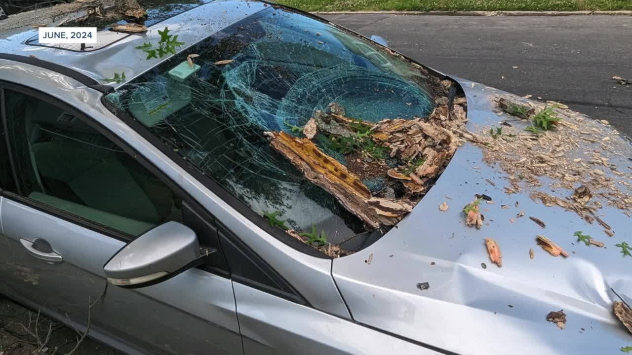 Poster image - 2024-08-09T171212.005.jpg