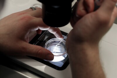 Alabama IVF Affected Groups