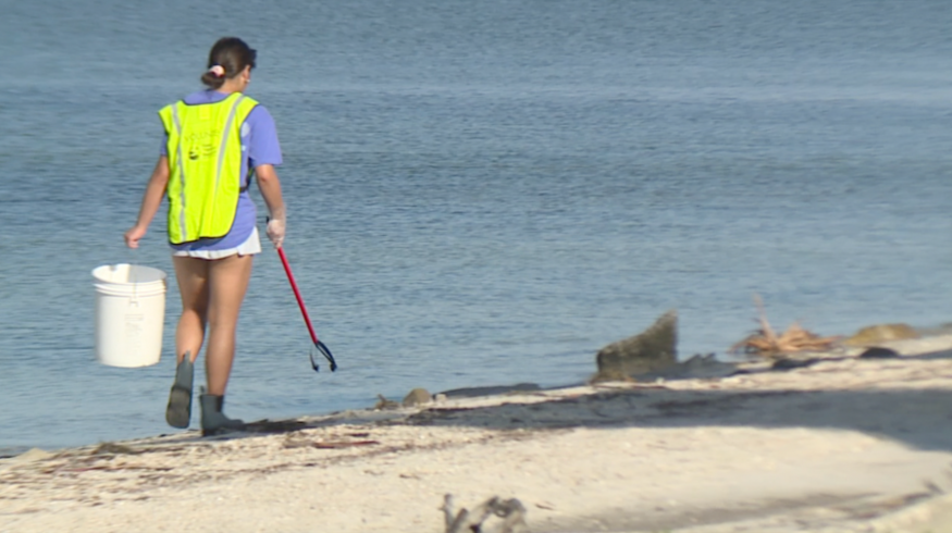 beach cleanup