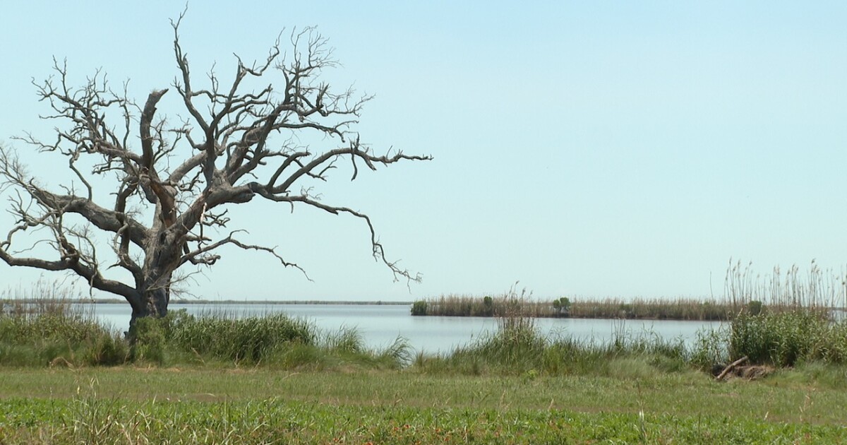 Vermilion Parish Potential impacts of possible space exploration coming to Pecan Island Chloe Franklin