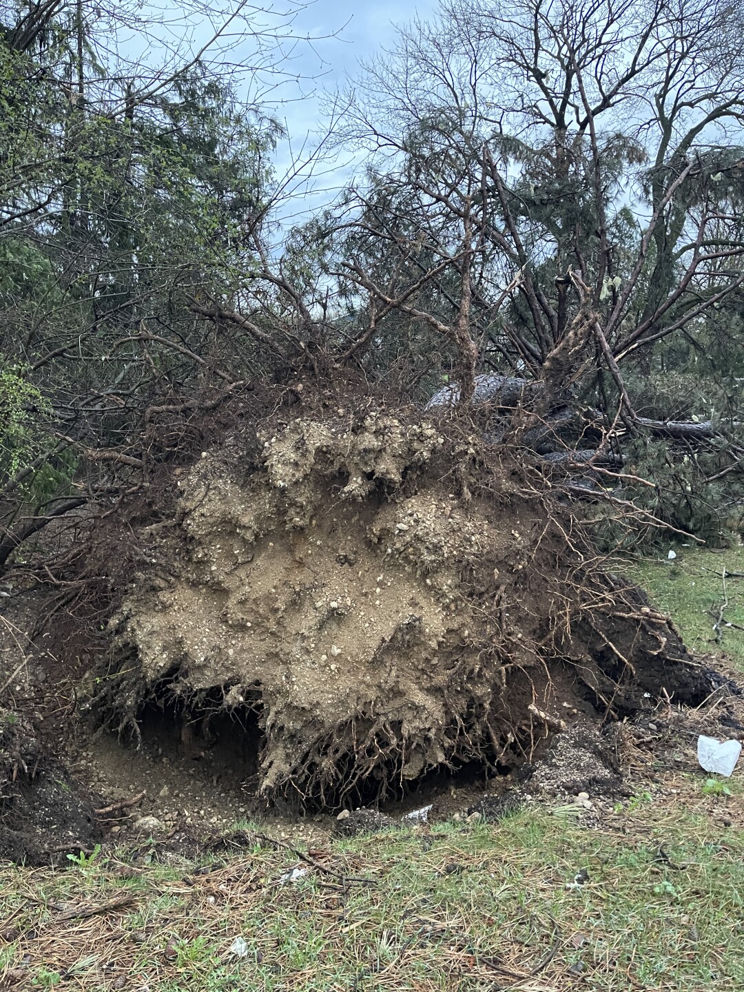 sussex cleanup 6.jpeg