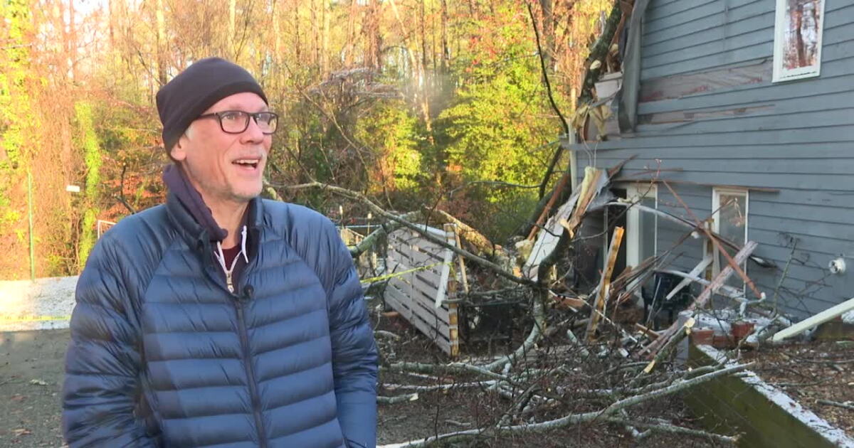 Virginia Storm Damage: Tree crashes into Henrico home - Vimarsana News
