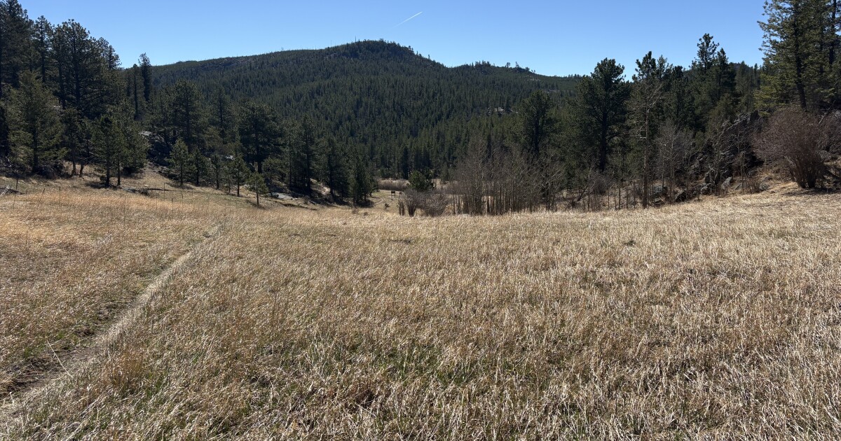 Great Colorado History Hikes: Homestead Meadows
