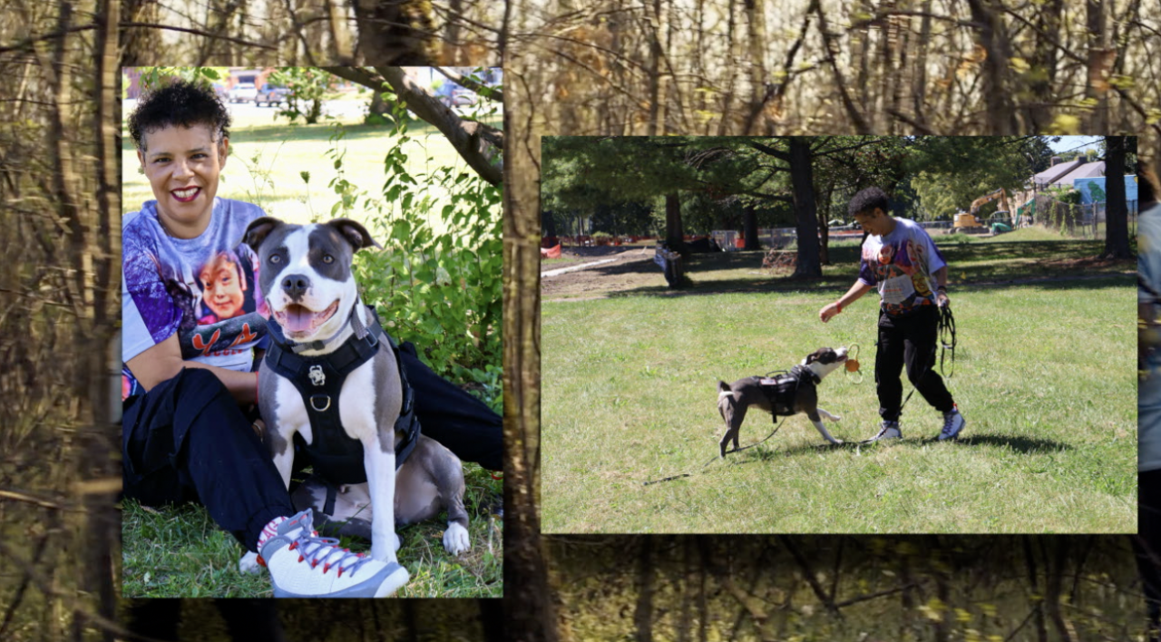 Screenshot 2026-02-03 at 6.20.07 PM.png