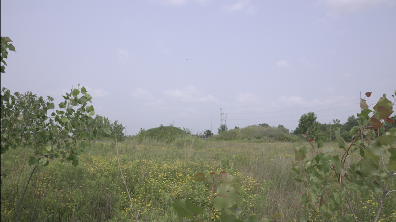 120 acres in Delta Twp.