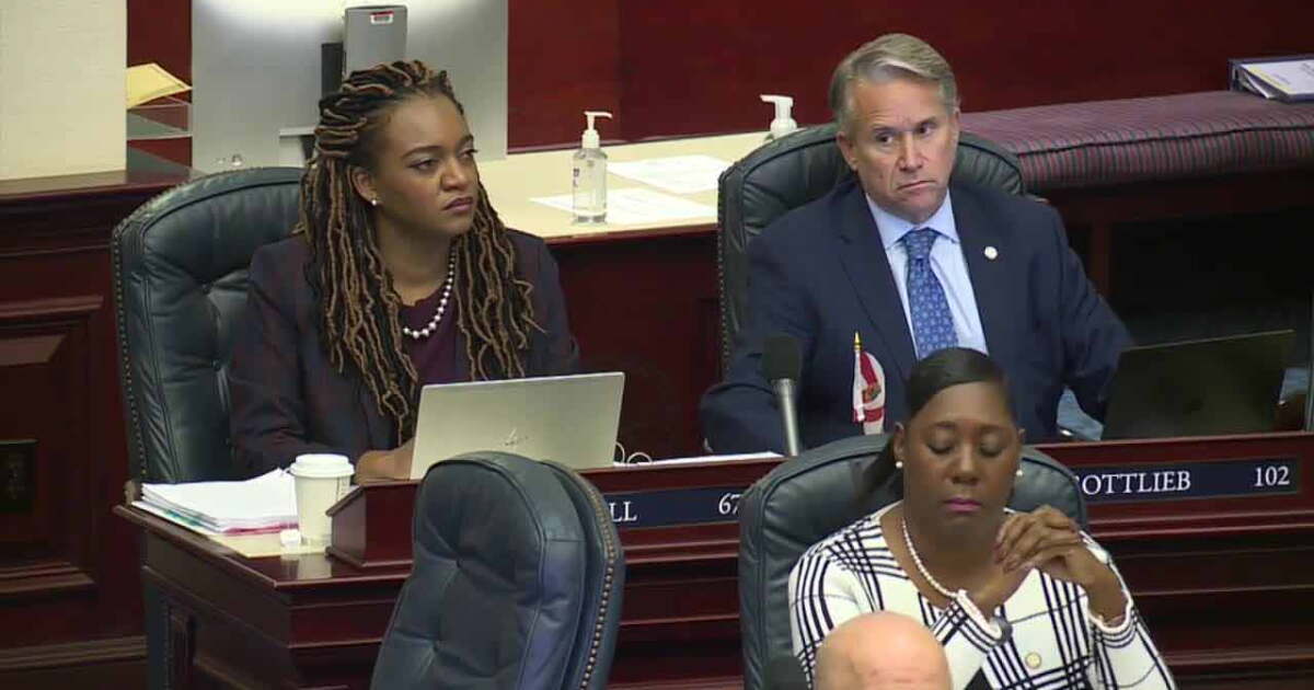 Democrats Goals Florida Democrats list 2023 goals despite weakened strength