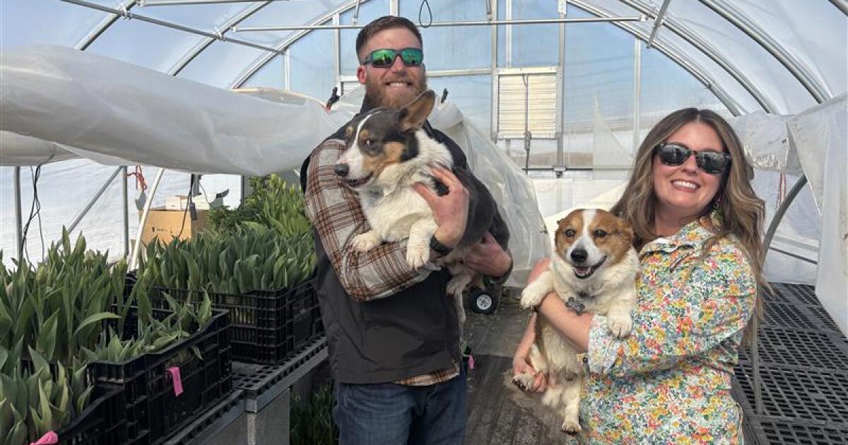 From farm to florist: Kentucky producers hope you'll keep your love local this Valentine's Day