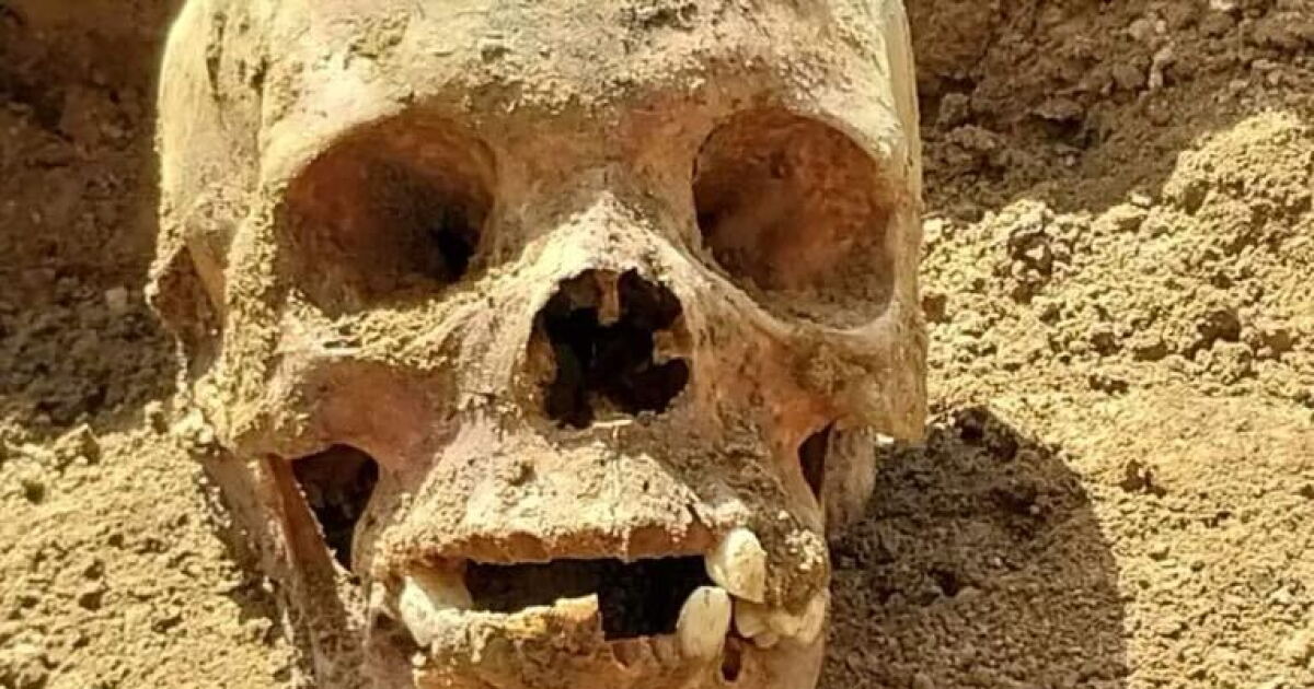 Human skeletal remains found, coroner doesn't suspect foul play - Vimarsana News