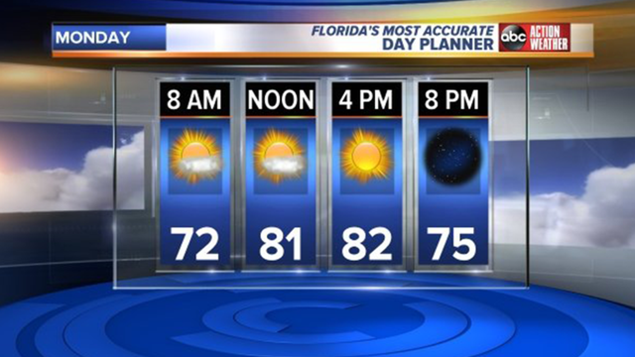 February 2018 Will Be Warmest February On Record In Tampa