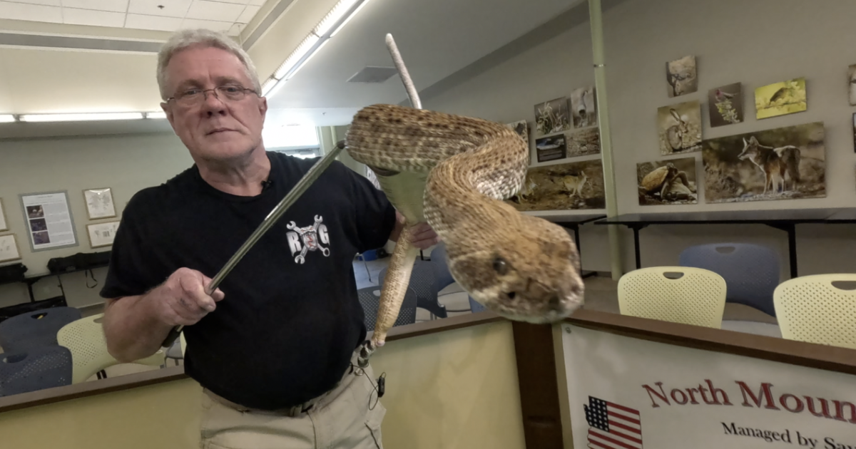 Rattlesnake encounters can increase in summer heat. Here's how to stay safe