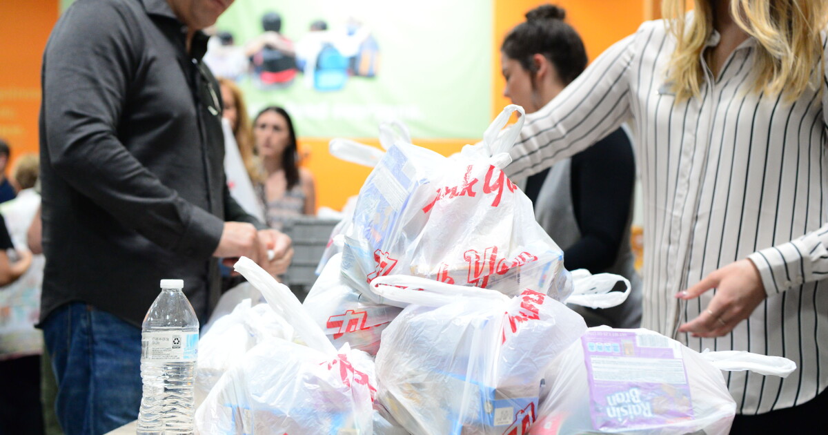 Help Bag Hunger Double Your Impact to Bag Childhood Hunger