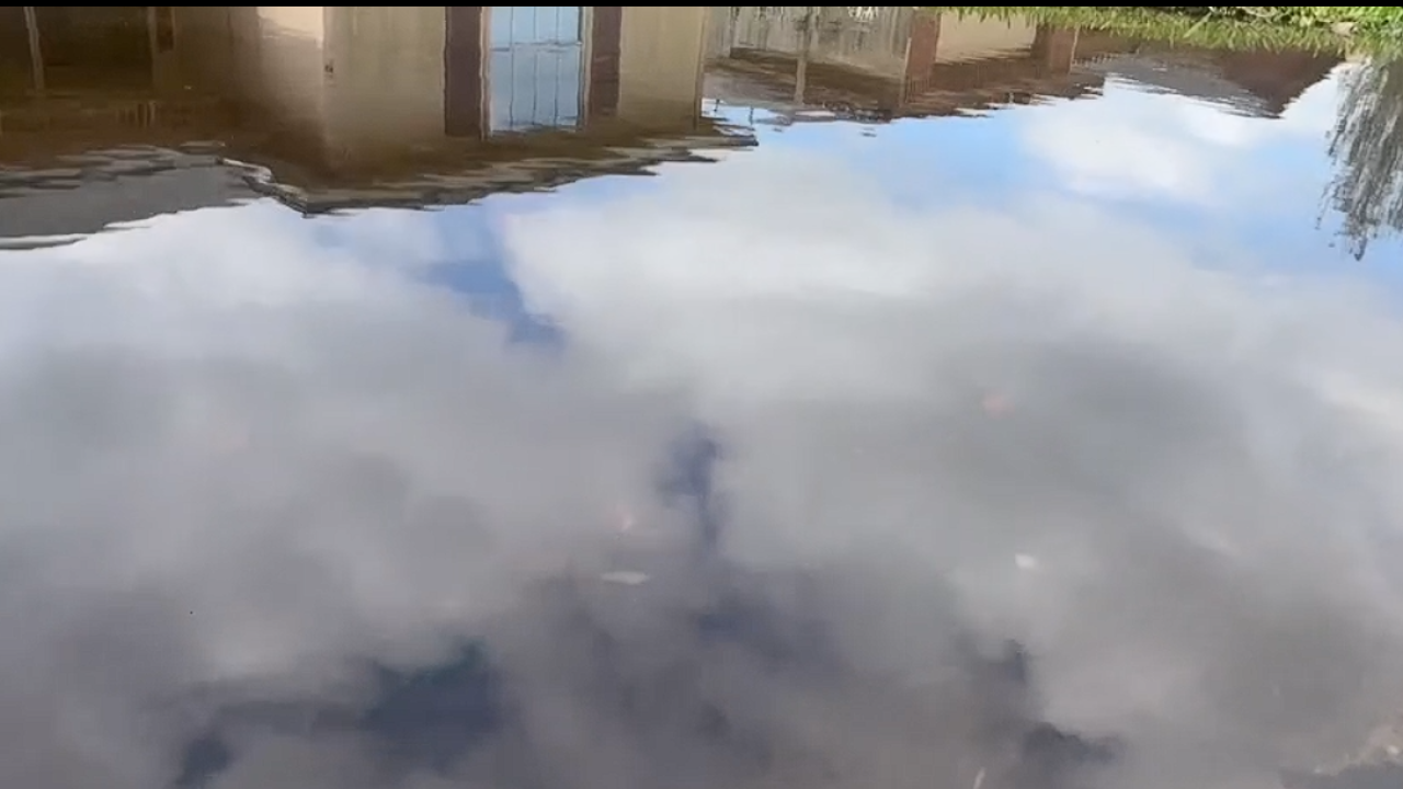 LA VOLLA CREEK.png