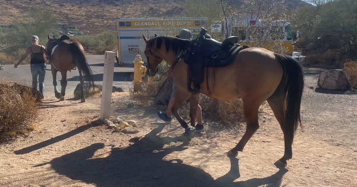 Woman, horse rescued off Thunderbird Mountain in Glendale Saturday morning - Vimarsana News