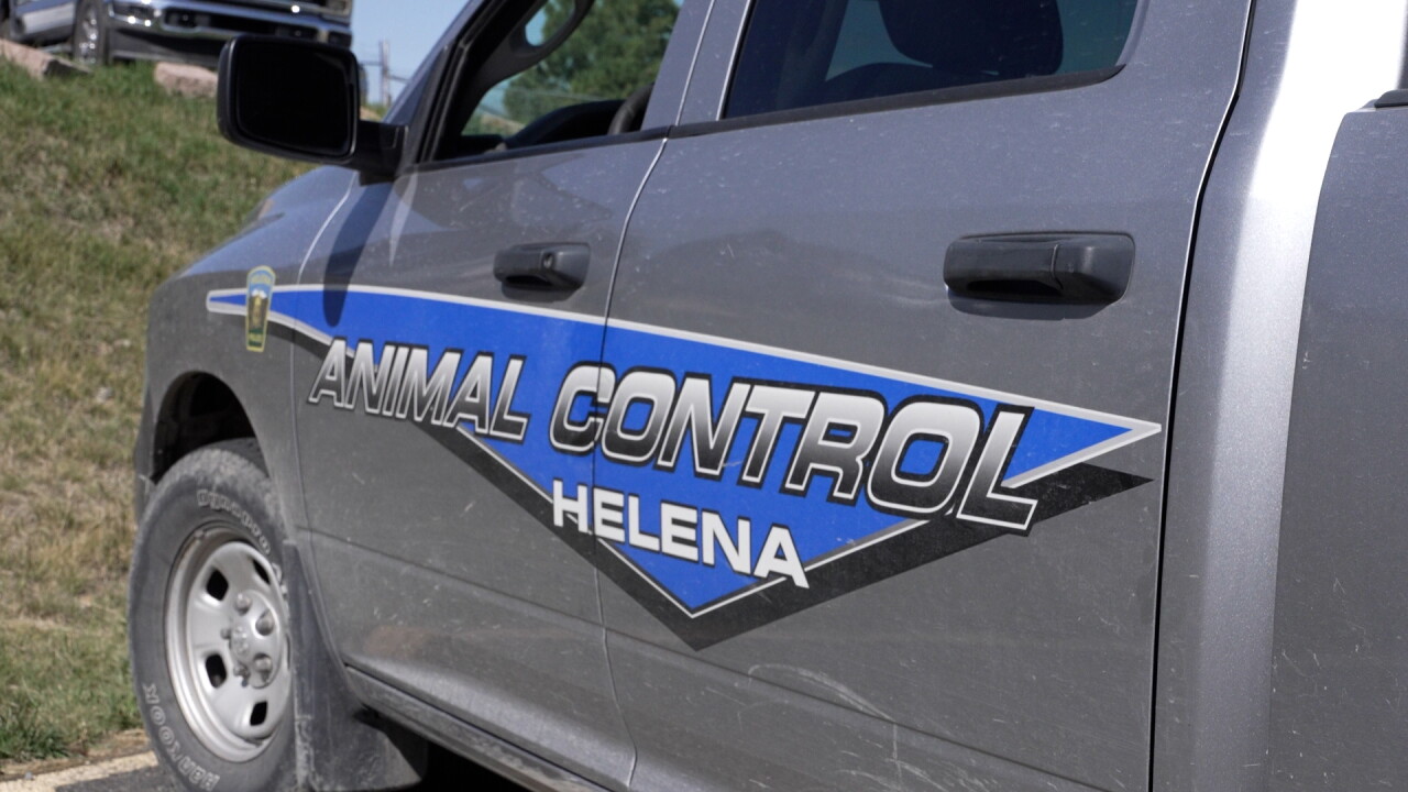 animal-control.jpg
