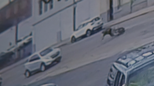 Surveillance video right before the vehicle ran over Joseph “JP” O’Grady