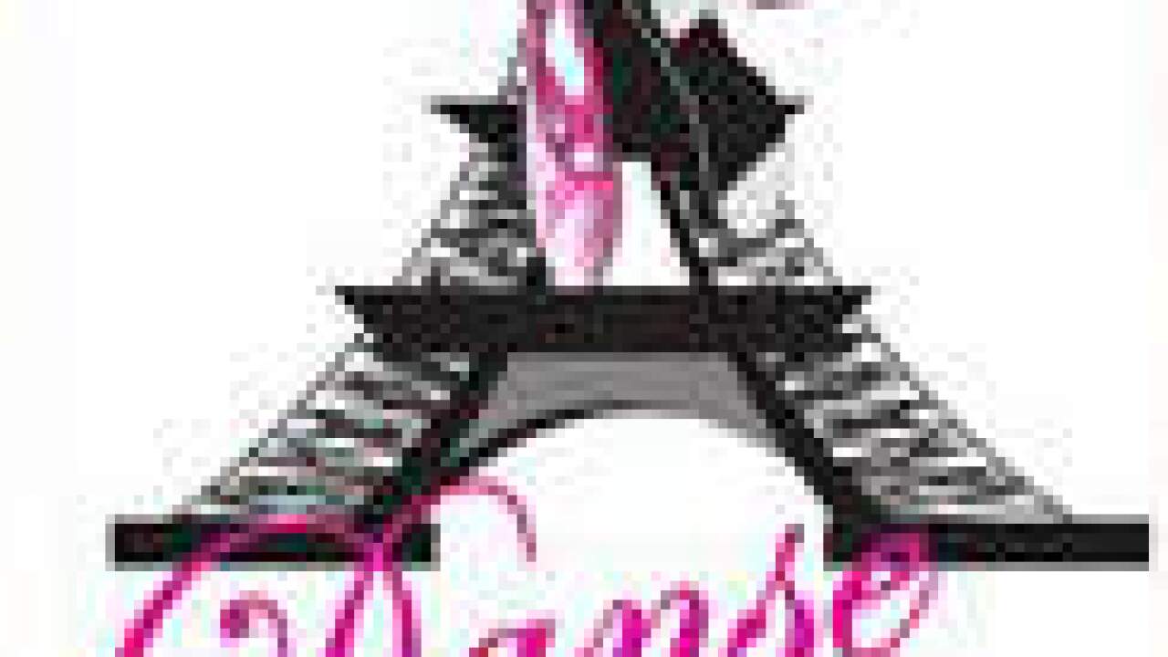 Danse Damour Dance Studio Presents Its Fifth Annual Open House - 