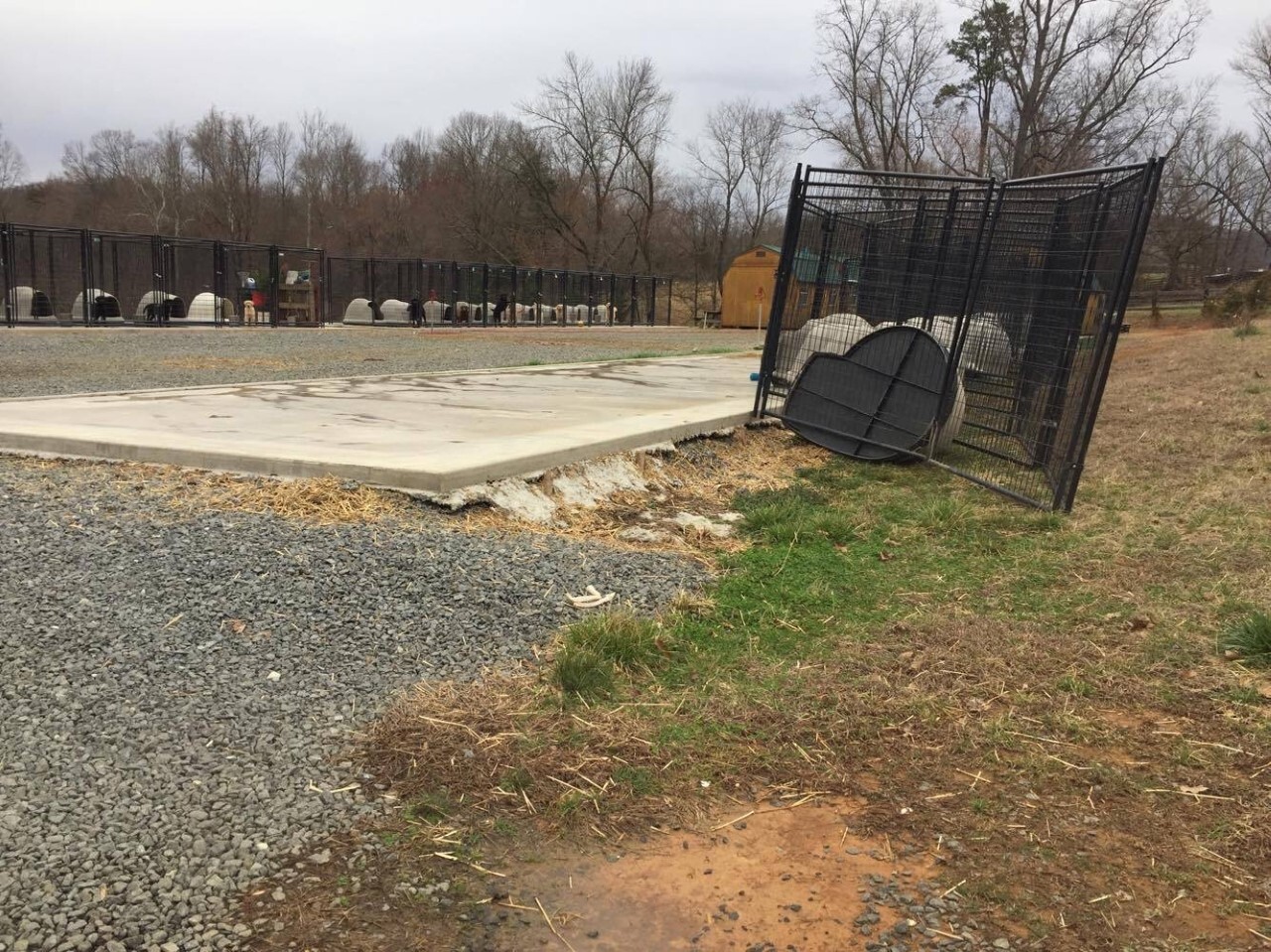 Farm where service dogs are raised. Image provided by Emily Meszoras, former volunteer and employee of SDWR