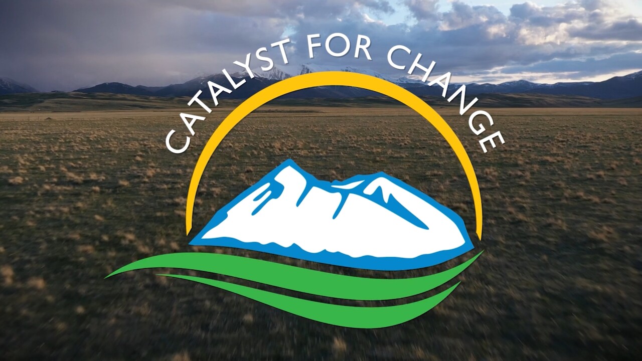 Catalyst for Change