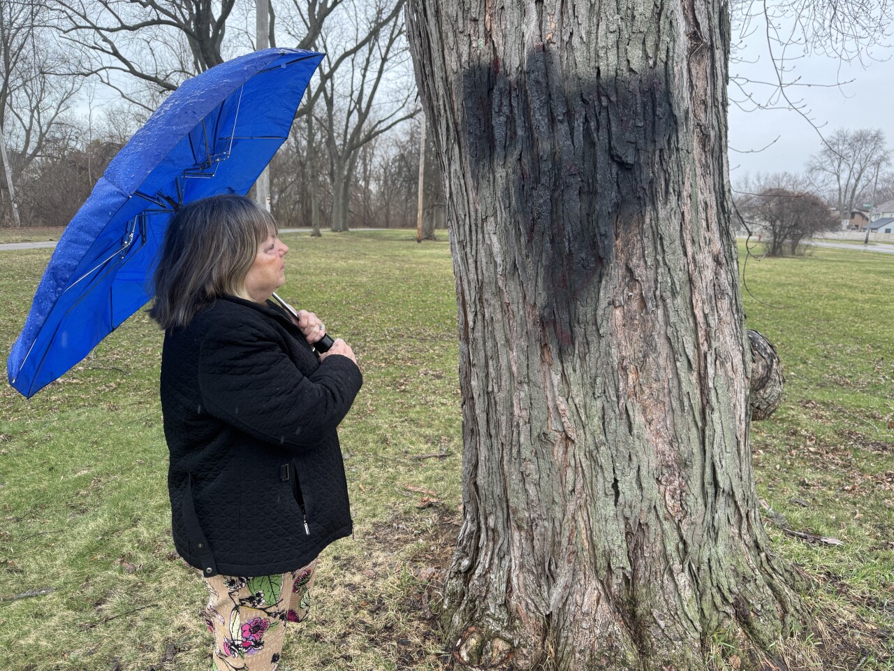 Kathy Krause looks at the covered up vandalism in the Oak Creek Parkway. 