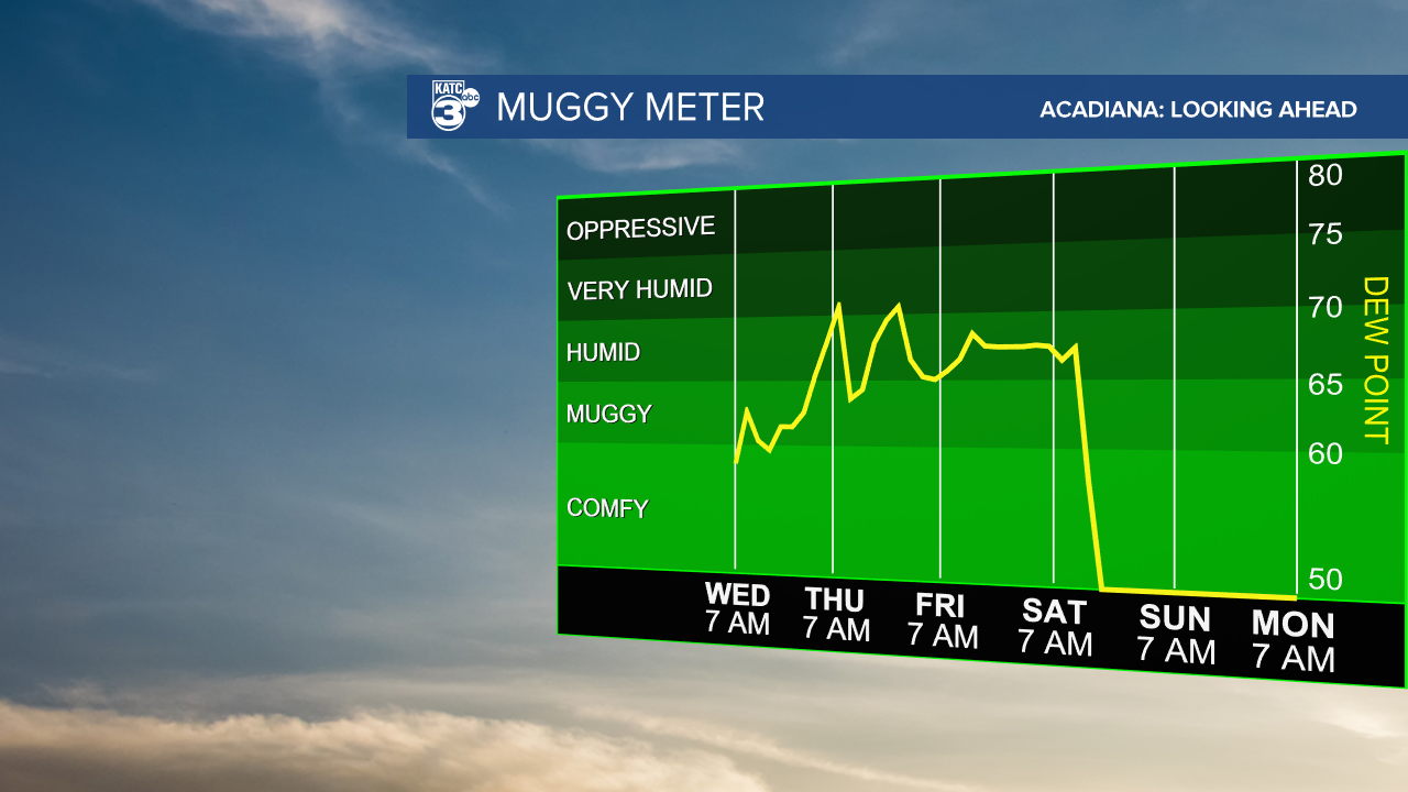 Muggy Meter-1607543012179.png