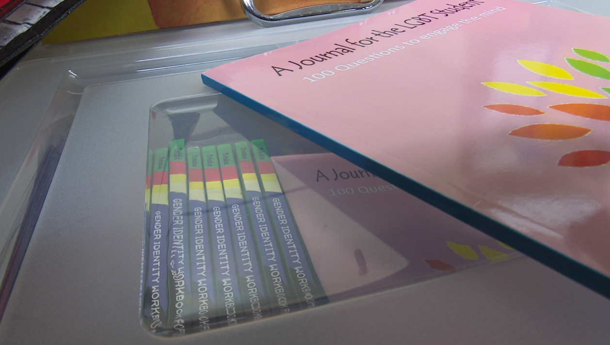 UWGB's Pride Center is helping run pride camps for students