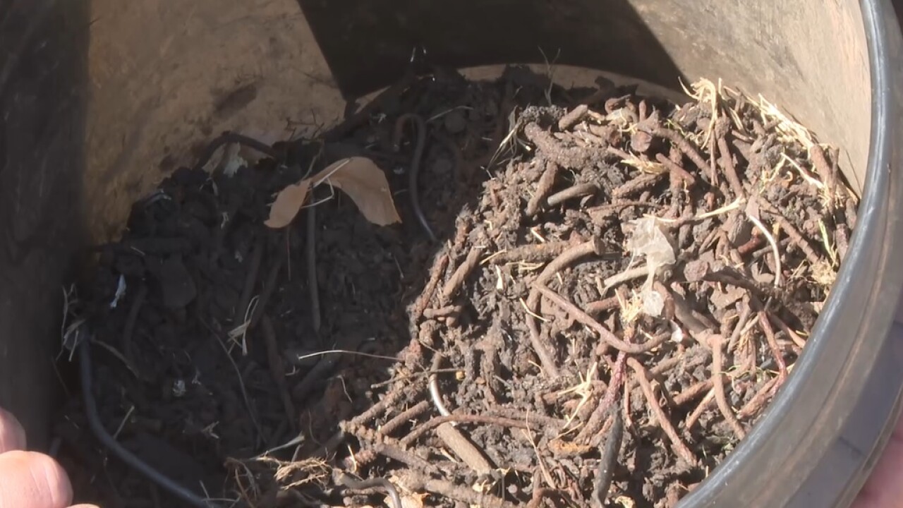 nailsdirt.jpg