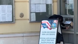 Voting.jpg