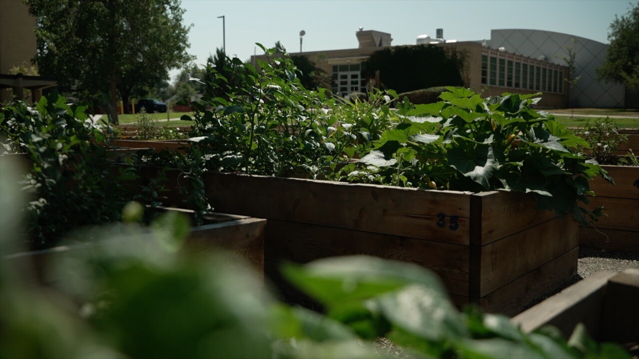 garden at mosaic.jpg
