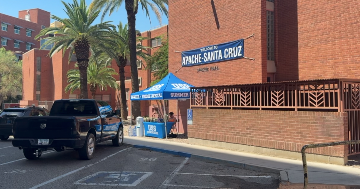 Kittens on campus: UofA opens Move-in Week with 1,500 dorm move-ins