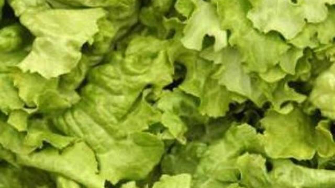 Salad & wrap products recalled for Cyclospora