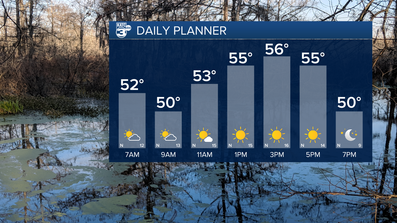 Daniel Day Planner.png