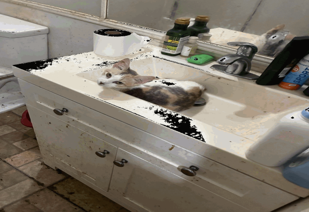 Screenshot 2025-08-15 103751.png